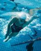 Obrázok podujatia Verejné preteky v plávaní seniorov